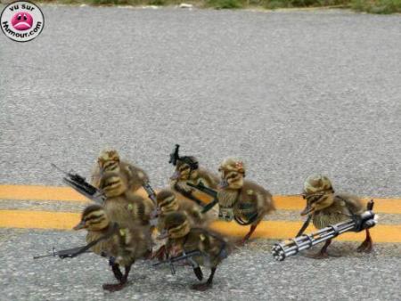 comme a la guerre